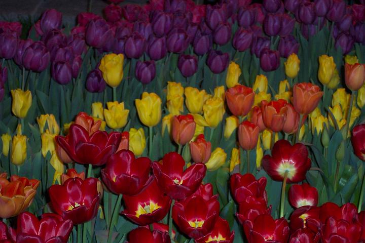 L_W 059.jpg